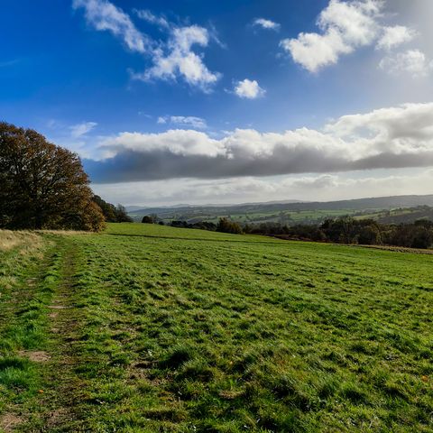 Bromyard