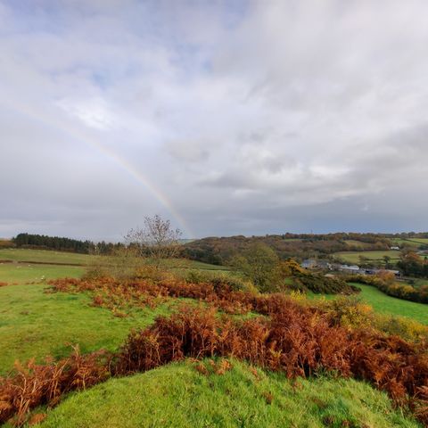 Hergest Ridge