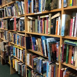 The travel bookshelves typically full