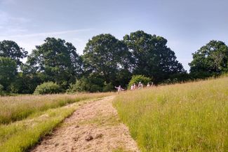 Walking Ross to Little Dewchurch