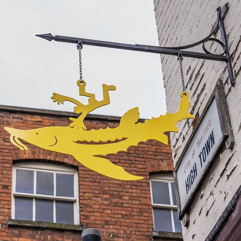 The Sturgeon and the Artist by Nicholas Stevenson