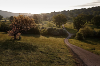 Eastnor deer park landscape