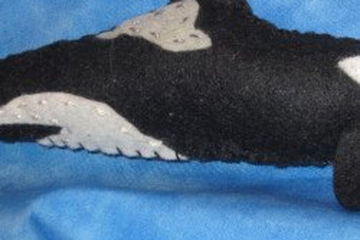 Orca