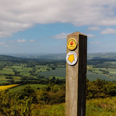 Herefordshire Trail waymarker