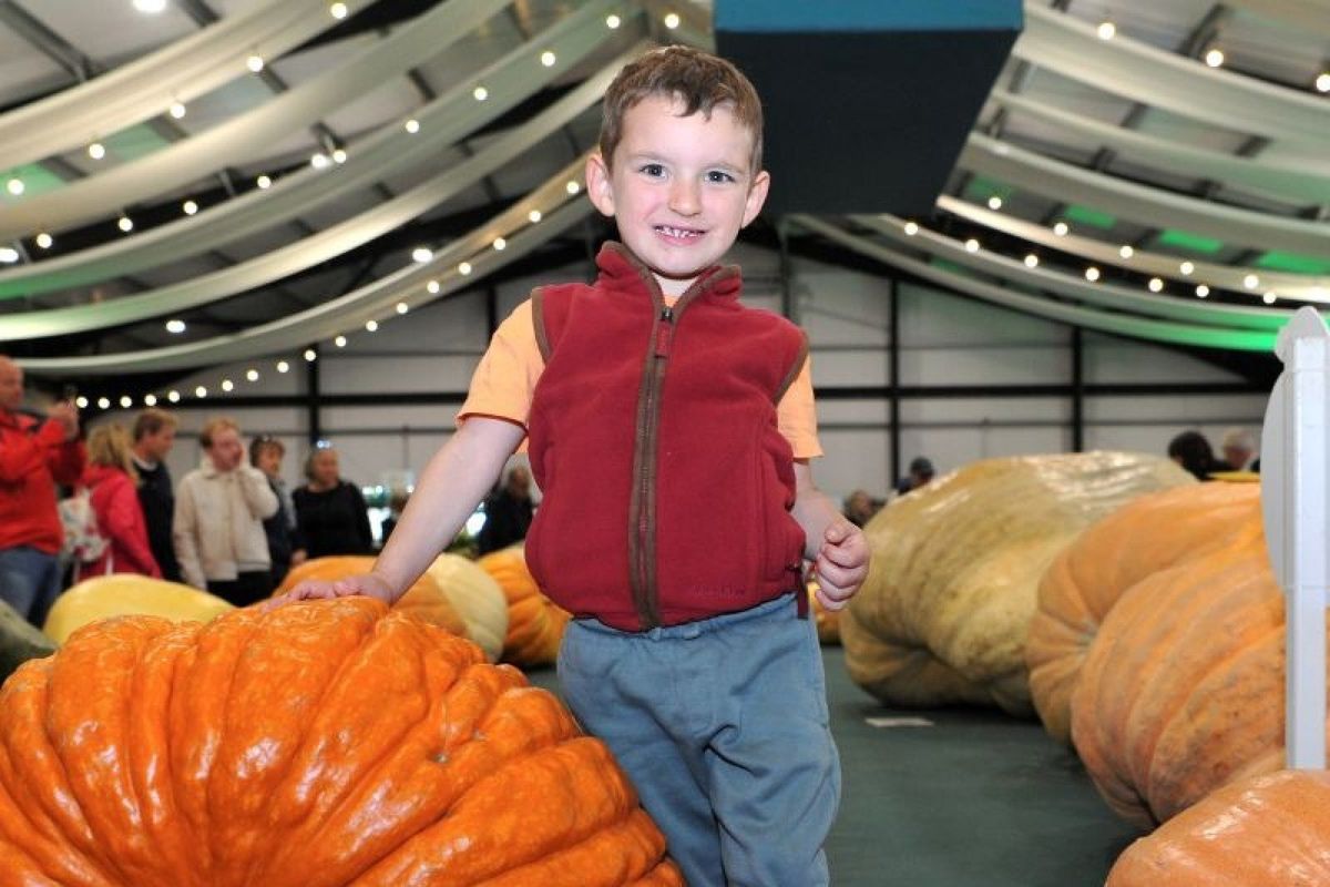 Giant Vegetables