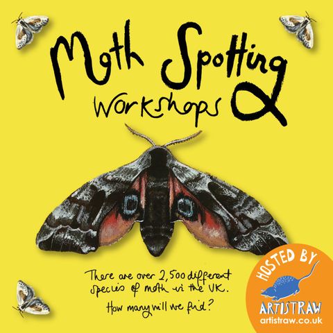 Moth spotting workshops in the orchard
