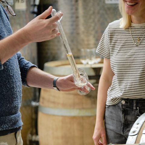 pulling wine from an oak barrel