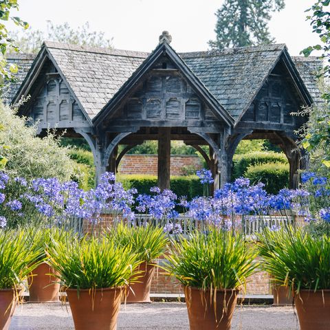 Hampton Court Gardens
