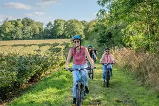 Woman riding e-bike through vineyard