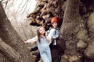 Tree climbing