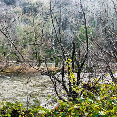 symonds yat