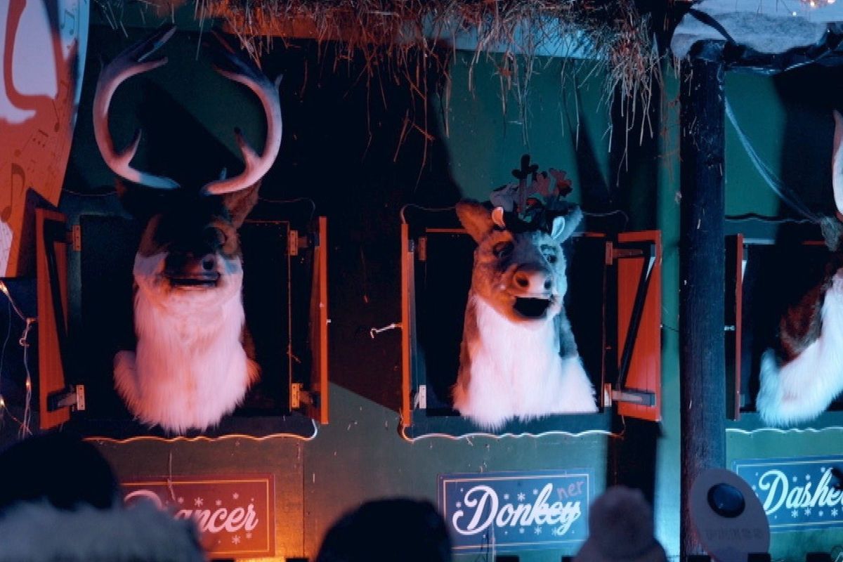 Singing Reindeer