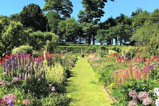 Grass walkway through colourful flowers in summer