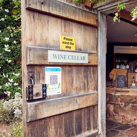 coddington vineyard