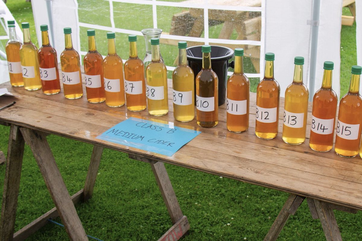 Yew Tree Cider Trials