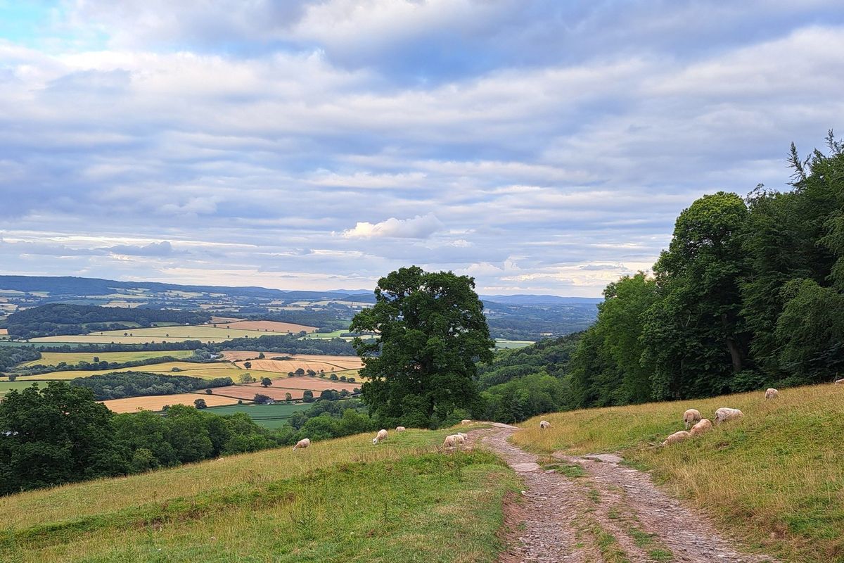 View from Merbach Hill