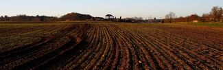 ploughed fields