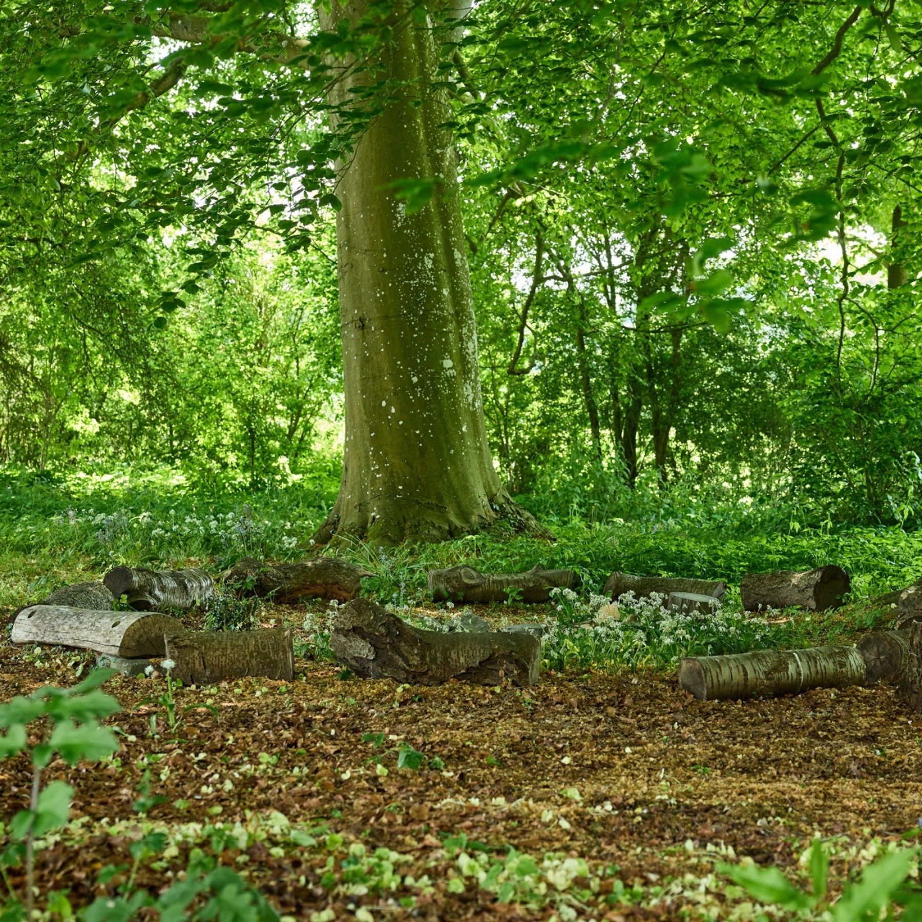Outdoor seating area