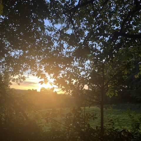 Aston Ingham (Photo credit: Fiona Reece)