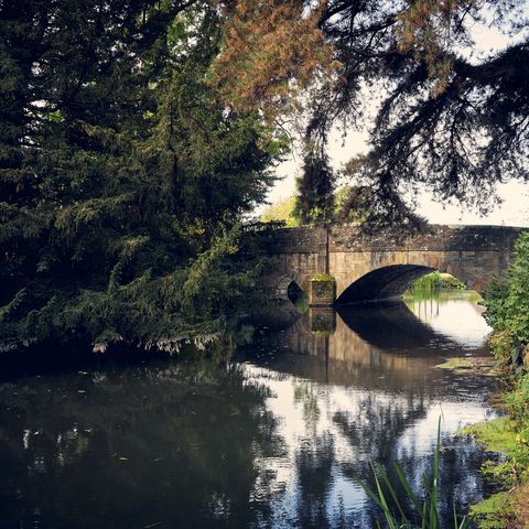 The River Arrow, Eardisland