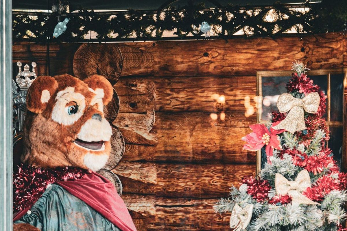 Winter Wonderland Daytime Event