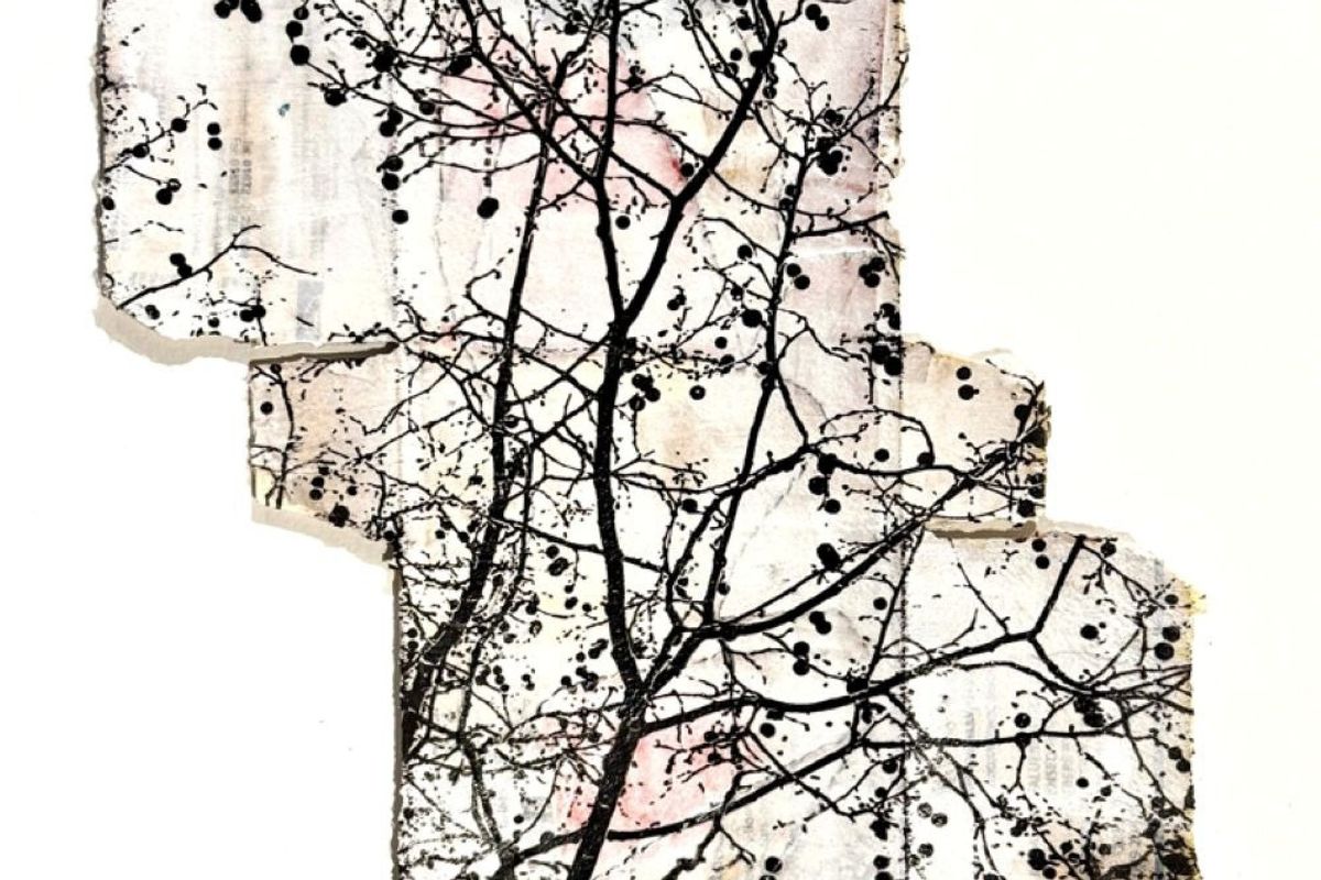 Andrea Davis