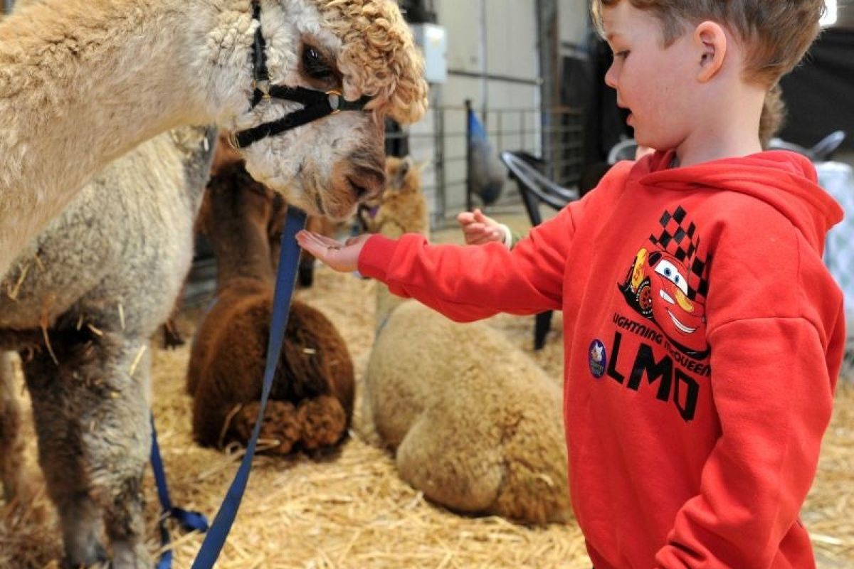 Royal Three Counties Show