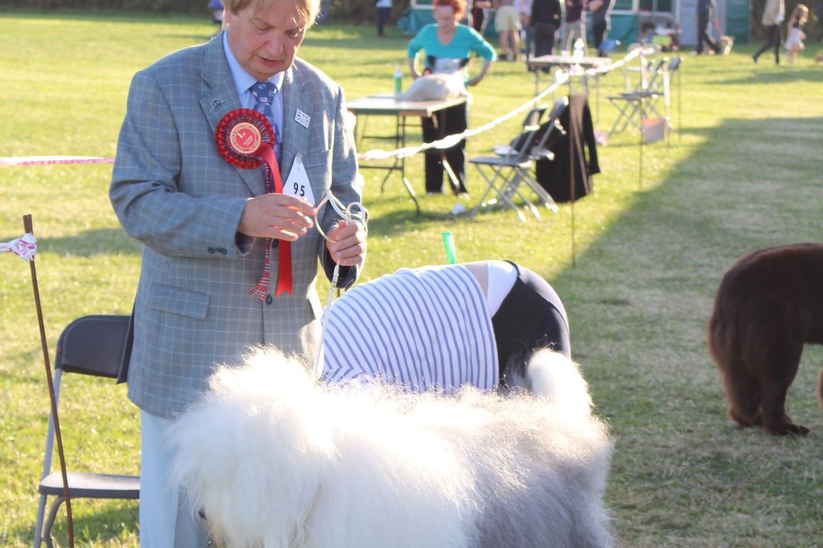 KC Dog Show 2019
