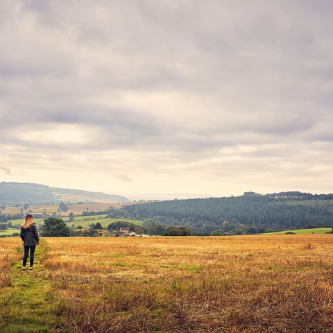 Lingen countryside