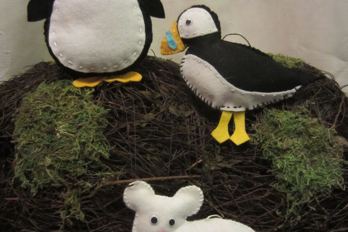 From Polar Bears to Penguins