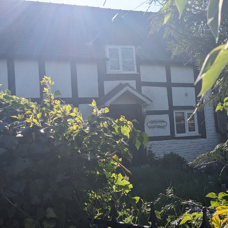 Boston Cottage