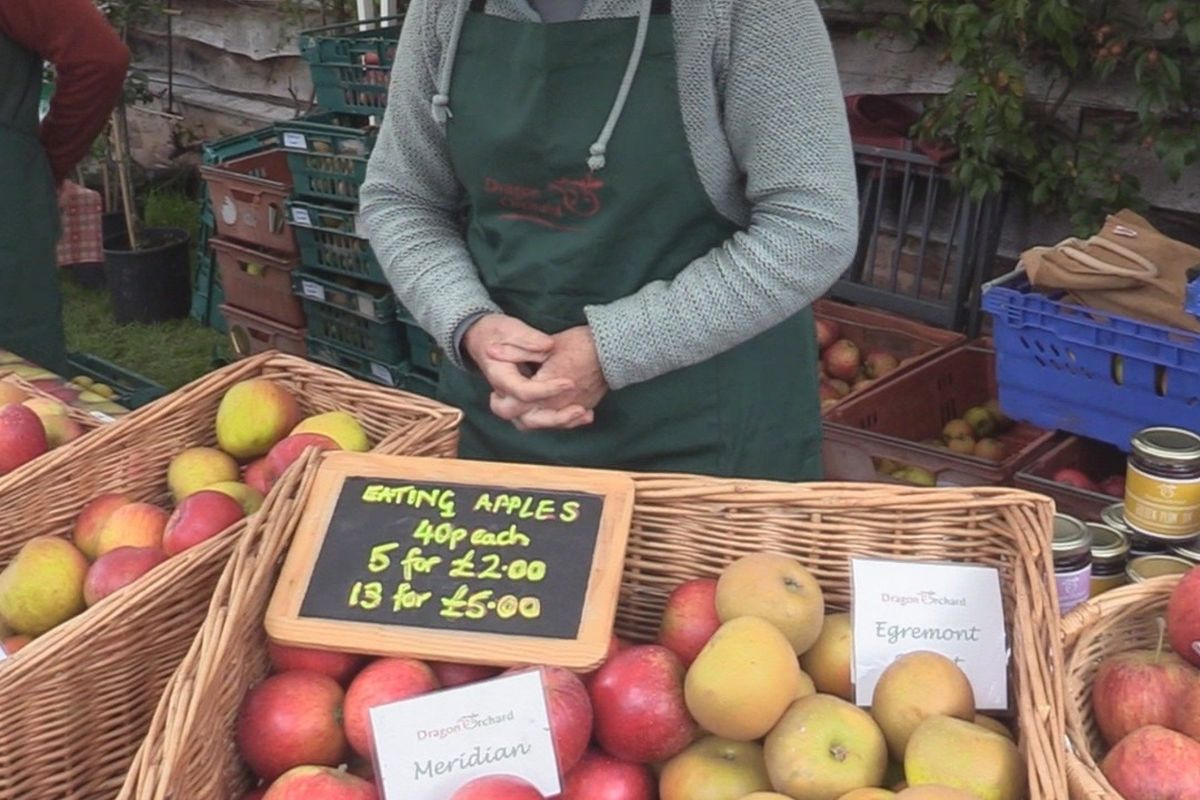 Dragon Orchard apple sales at Hellens
