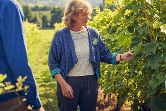 frome valley vineyard