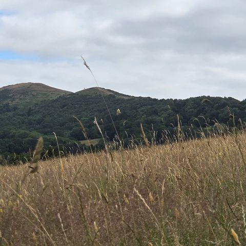 Explore the Malverns - Free Guided Walk in Herefordshire