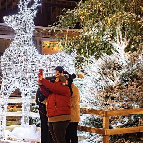 Hereford Christmas Lights