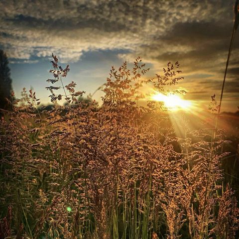 Sollars Hope (Photo credit: Ollie Crunchdog)