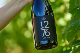 bottle of red wine being held up against vines in sunshine