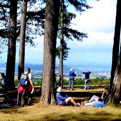 Ross Walking Festival