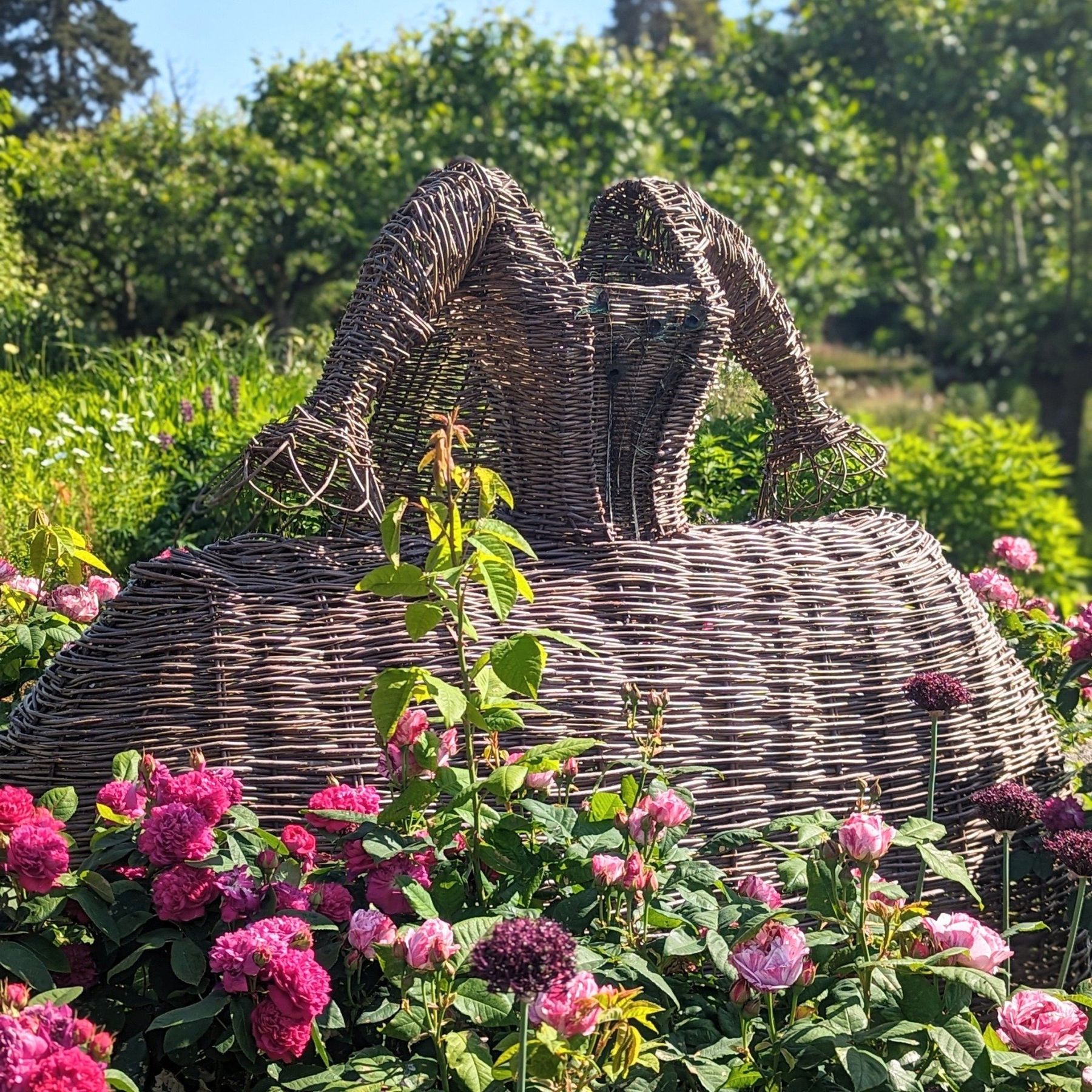 Explore the walled garden at Berrington Hall