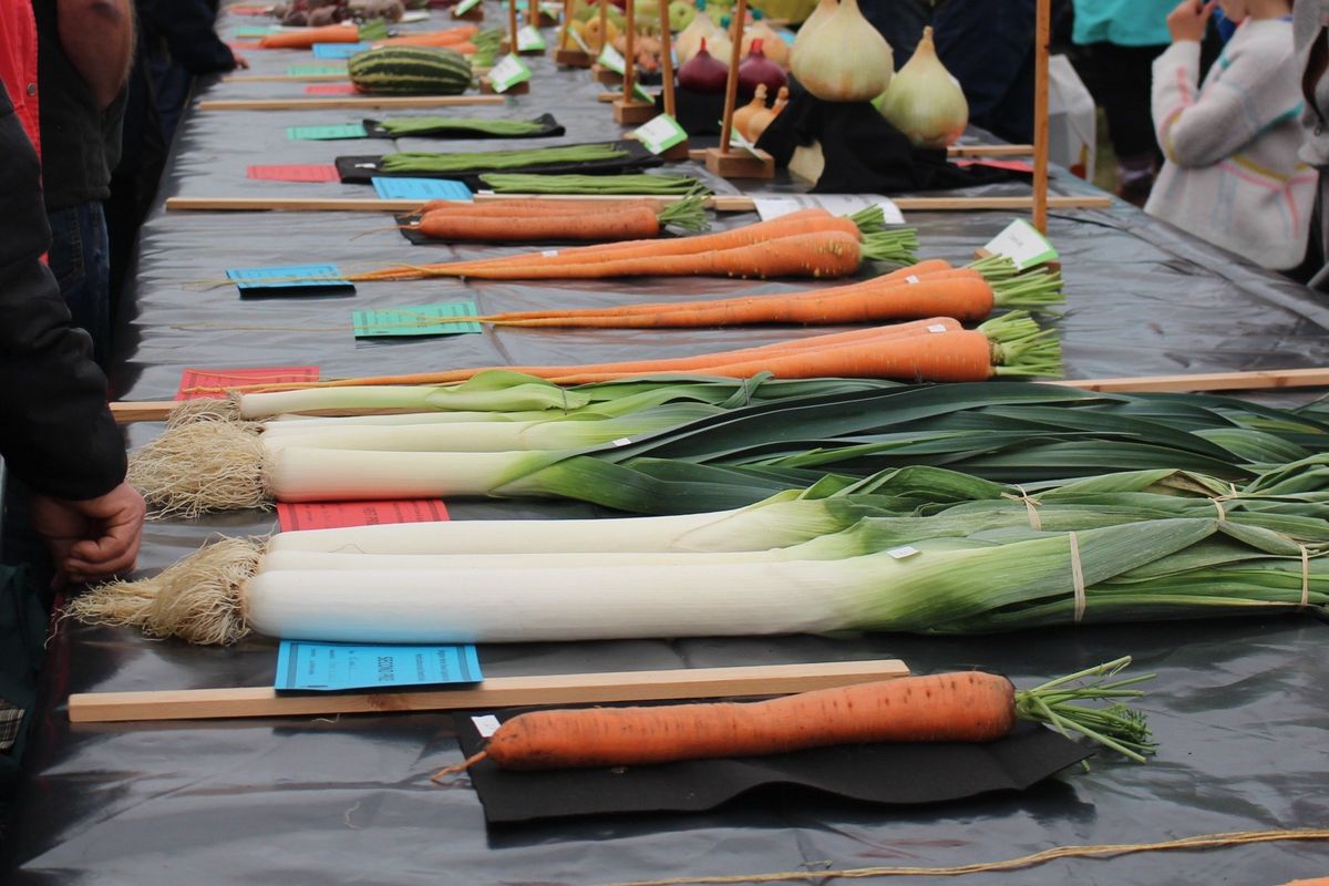 Kington Show