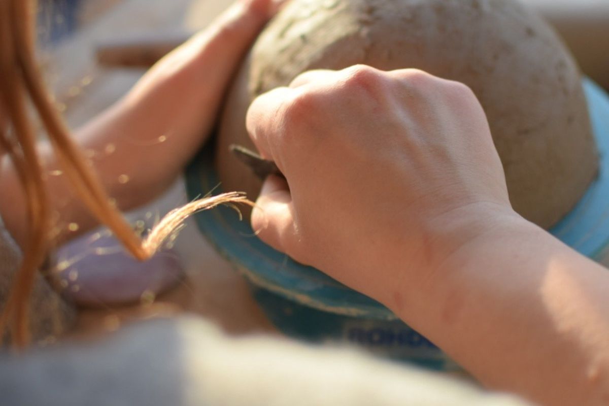 Pottery Taster