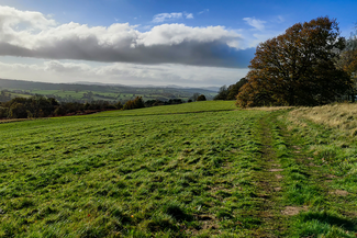 Bromyard Downs