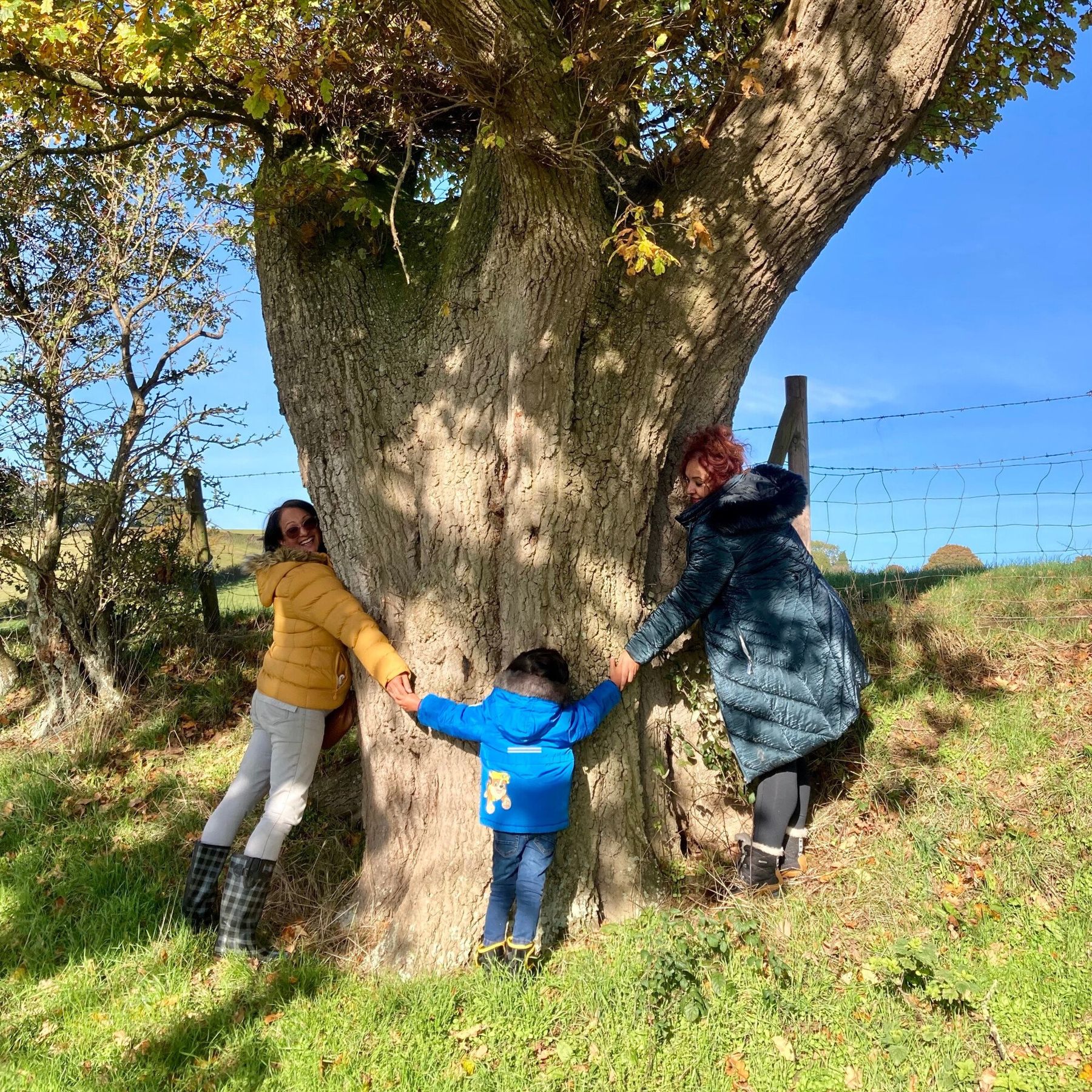 Hugging our oldest trees