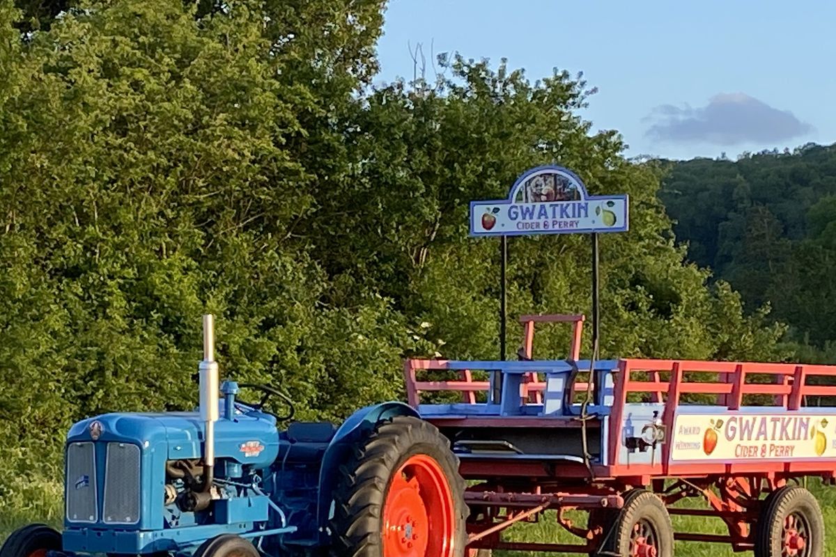 Old blue tractor with trailer for rides