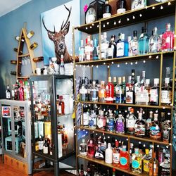 A selection of our Gins