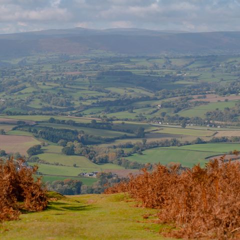 garway hill