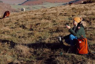 Hergest Ridge