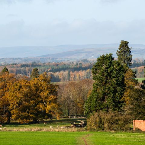 Weobley