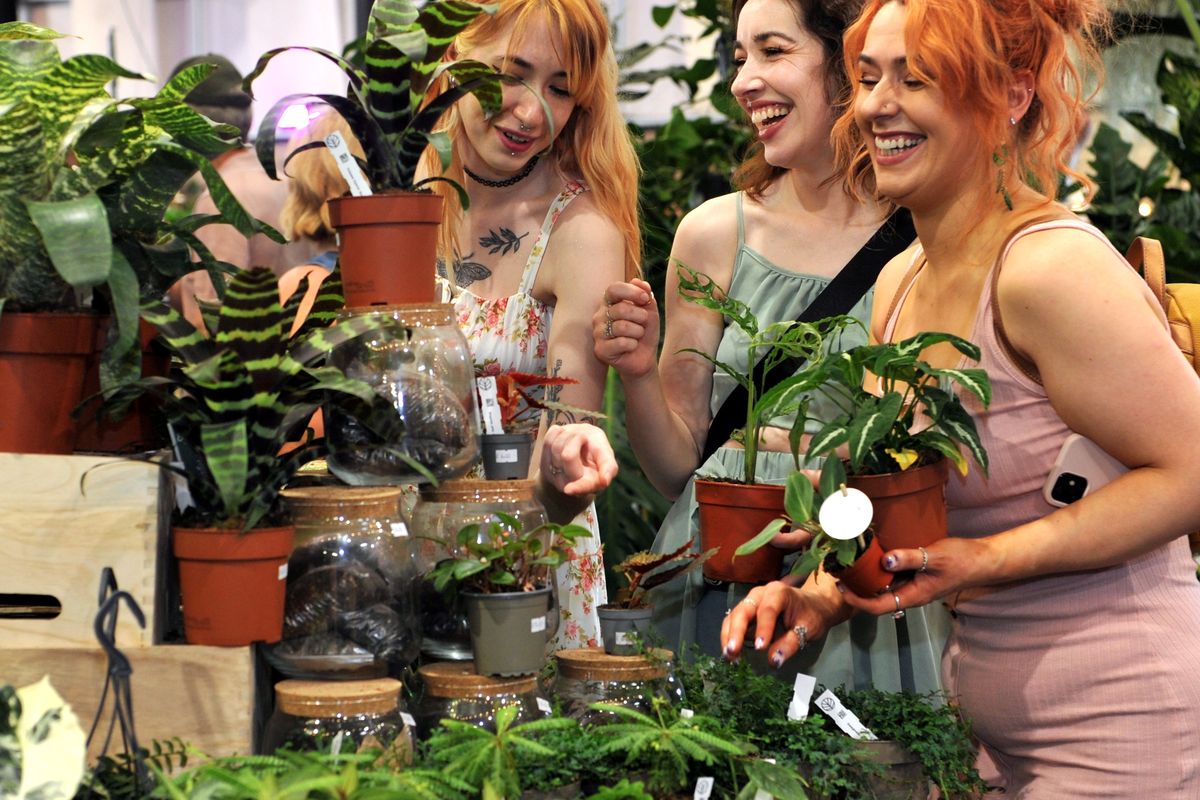 People buying flowers at the RHS Malvern Spring Show