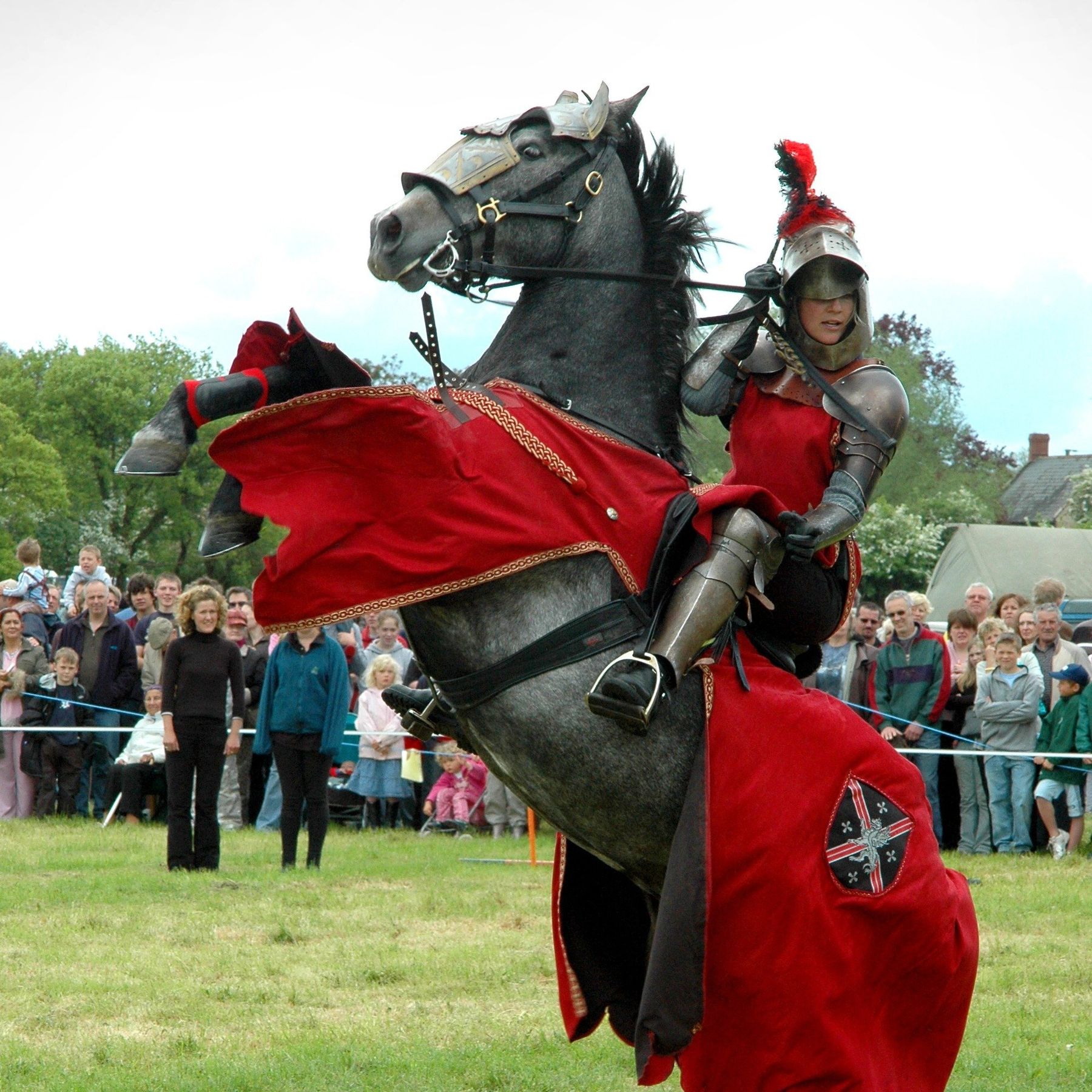 Jousting Shows